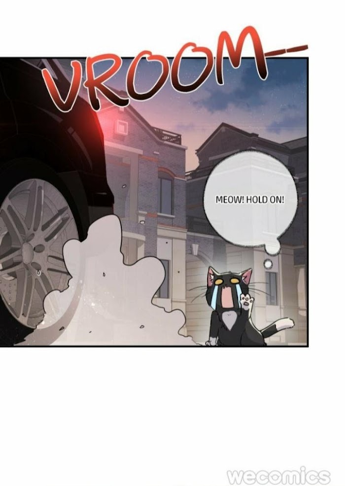 Read Pay Me Back, Mr. Cat chapter 4 image 4 on Lezhin
