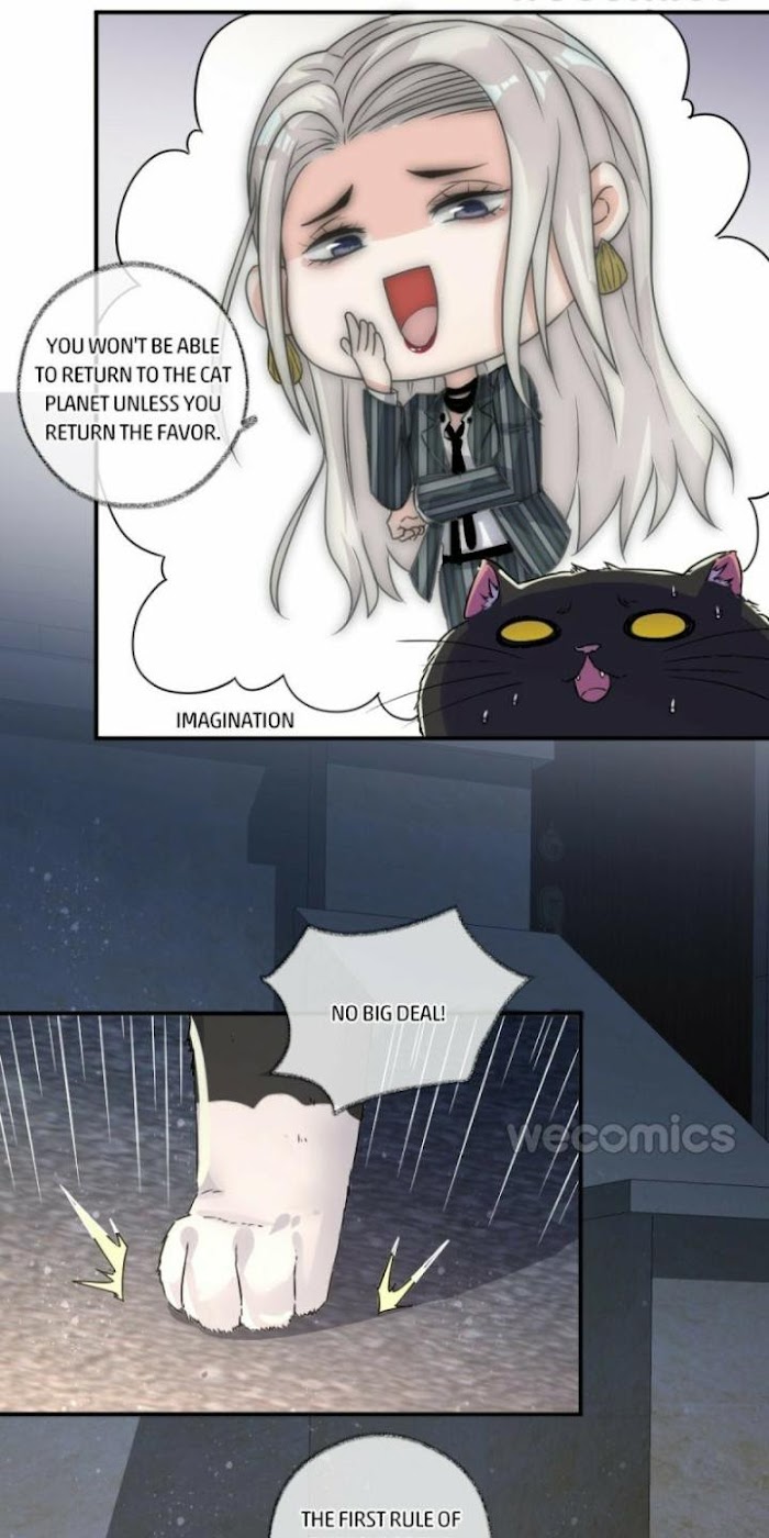Read Pay Me Back, Mr. Cat chapter 4 image 5 on Lezhin