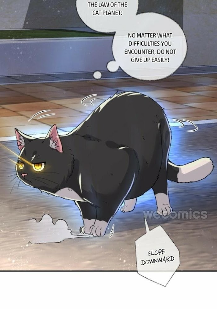 Read Pay Me Back, Mr. Cat chapter 4 image 6 on Lezhin