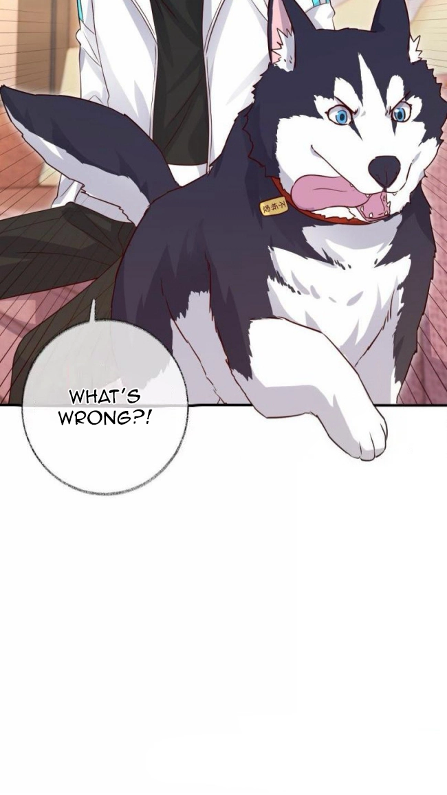 Read Pay Me Back, Mr. Cat chapter 47 image 31 on Lezhin