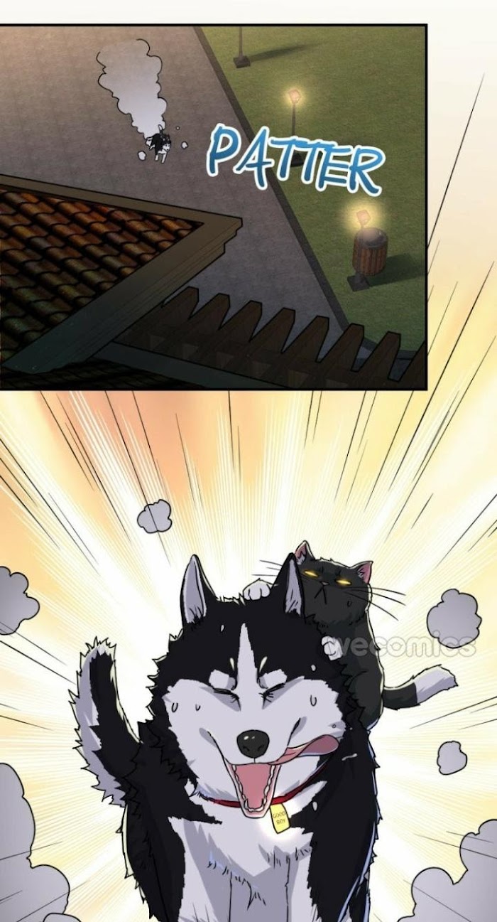 Read Pay Me Back, Mr. Cat chapter 5 image 13 on Lezhin