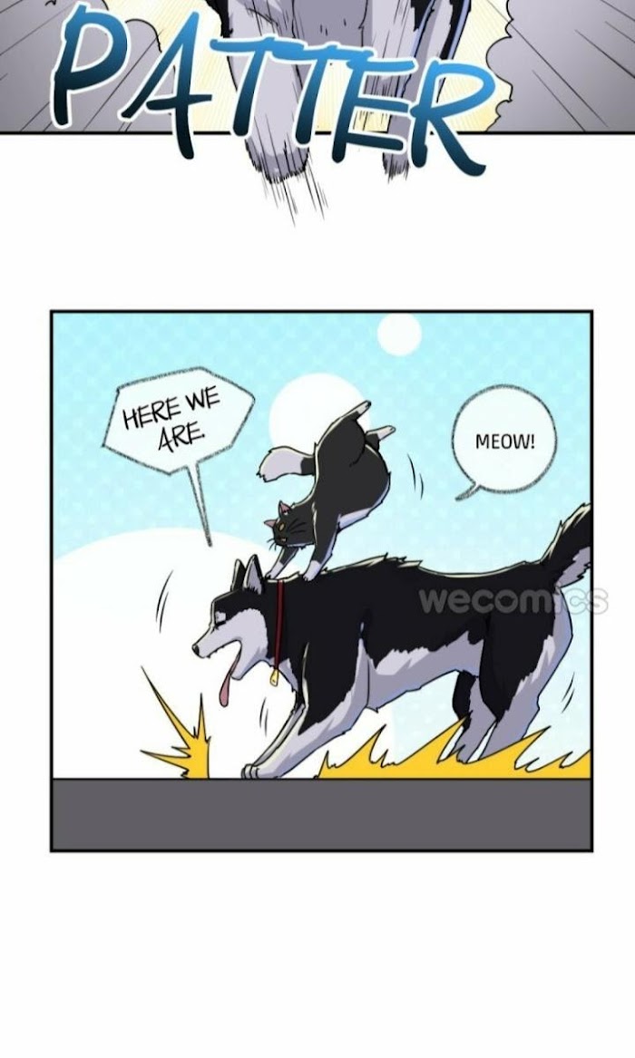 Read Pay Me Back, Mr. Cat chapter 5 image 14 on Lezhin