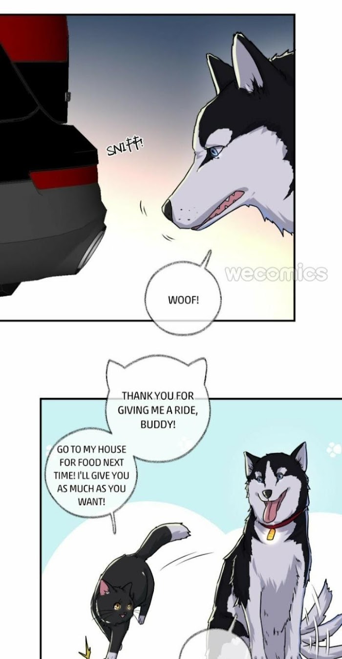 Read Pay Me Back, Mr. Cat chapter 5 image 15 on Lezhin