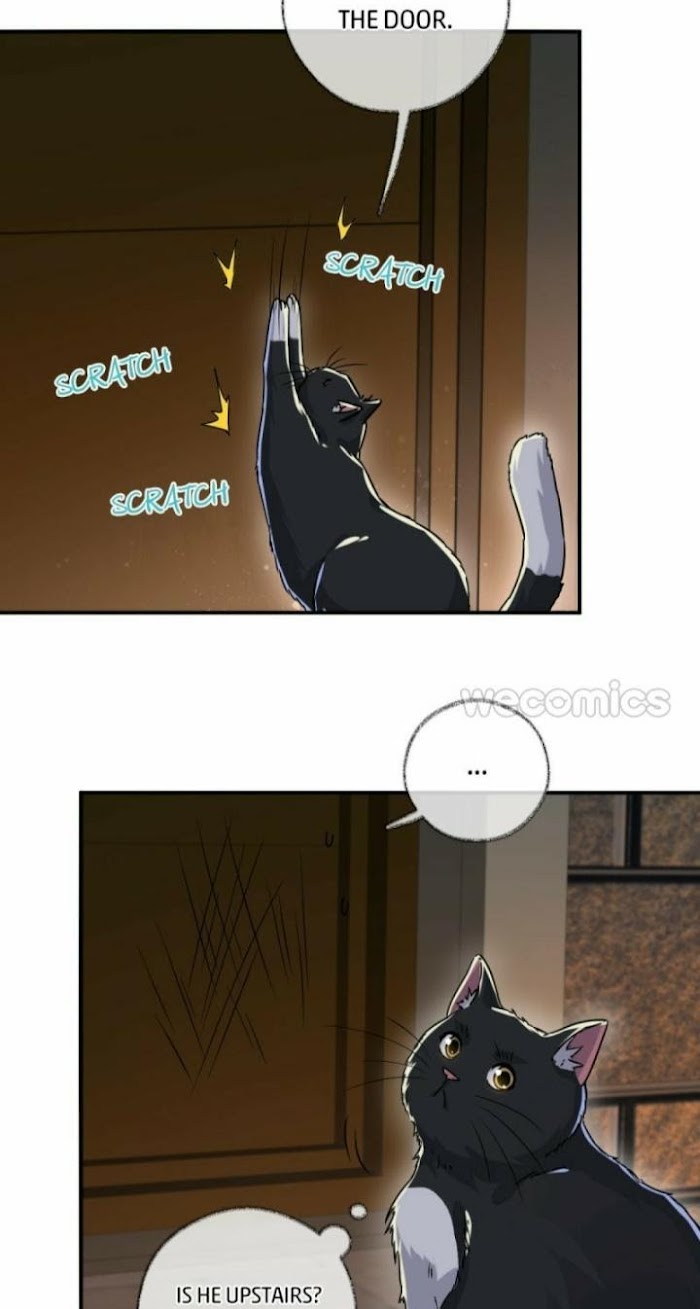 Read Pay Me Back, Mr. Cat chapter 5 image 17 on Lezhin