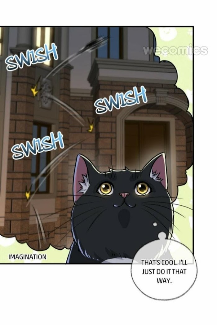 Read Pay Me Back, Mr. Cat chapter 5 image 19 on Lezhin
