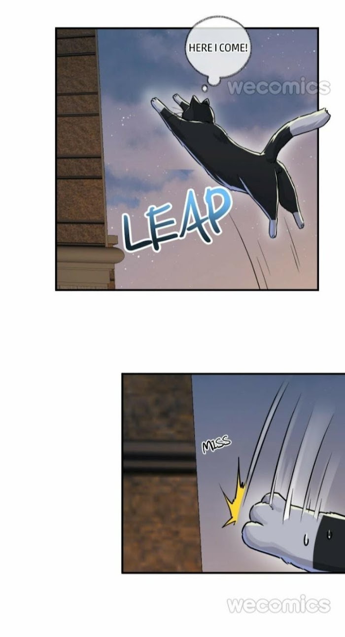 Read Pay Me Back, Mr. Cat chapter 5 image 20 on Lezhin