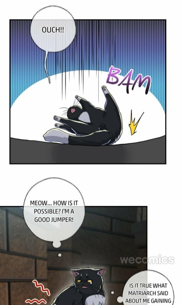 Read Pay Me Back, Mr. Cat chapter 5 image 21 on Lezhin
