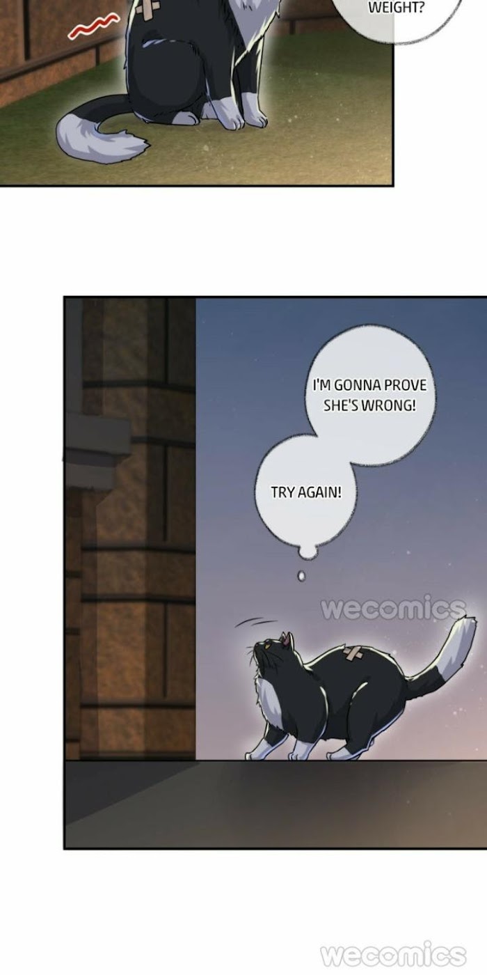 Read Pay Me Back, Mr. Cat chapter 5 image 22 on Lezhin