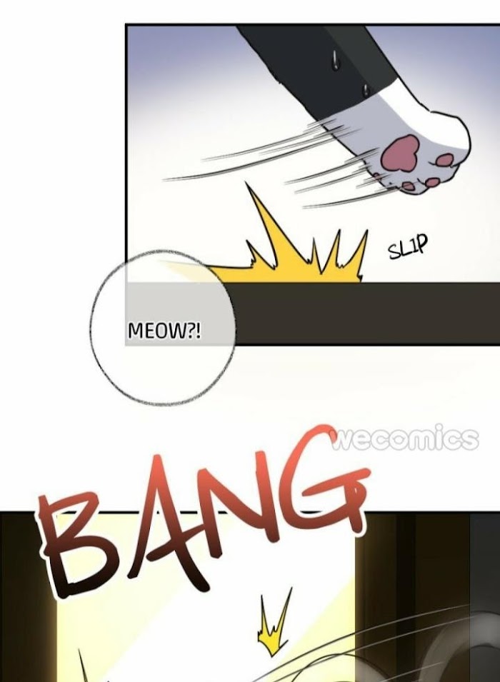 Read Pay Me Back, Mr. Cat chapter 5 image 24 on Lezhin
