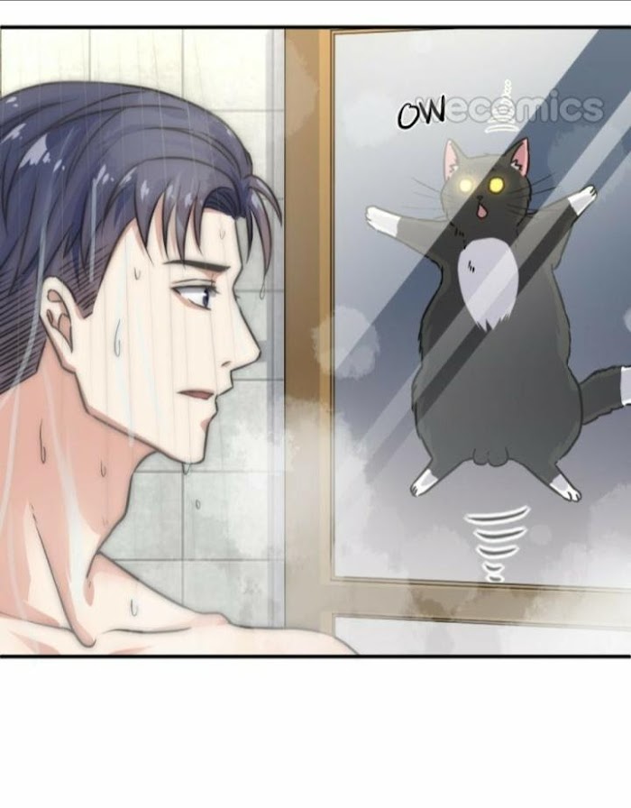 Read Pay Me Back, Mr. Cat chapter 5 image 27 on Lezhin