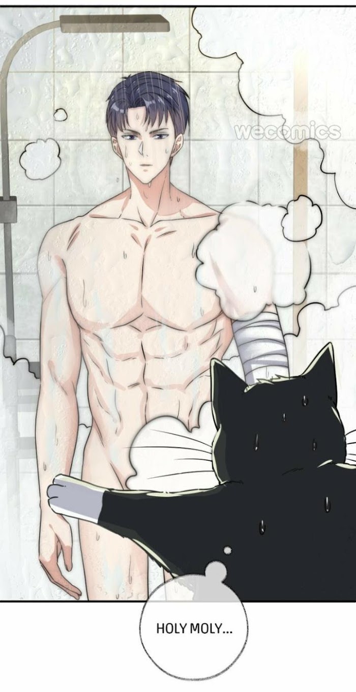 Read Pay Me Back, Mr. Cat chapter 5 image 28 on Lezhin