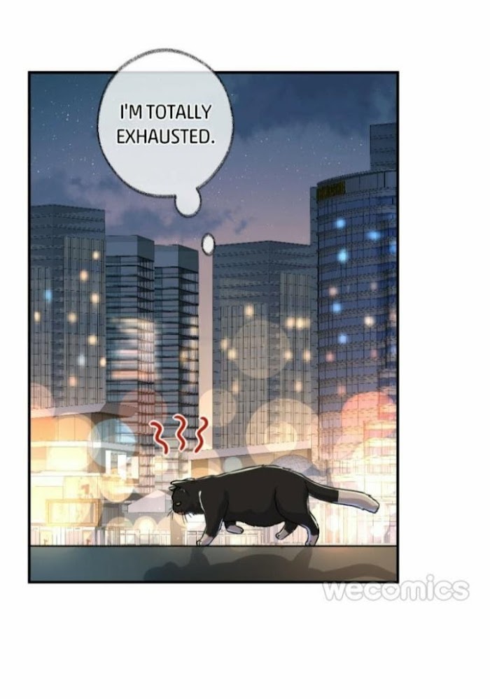 Read Pay Me Back, Mr. Cat chapter 5 image 3 on Lezhin