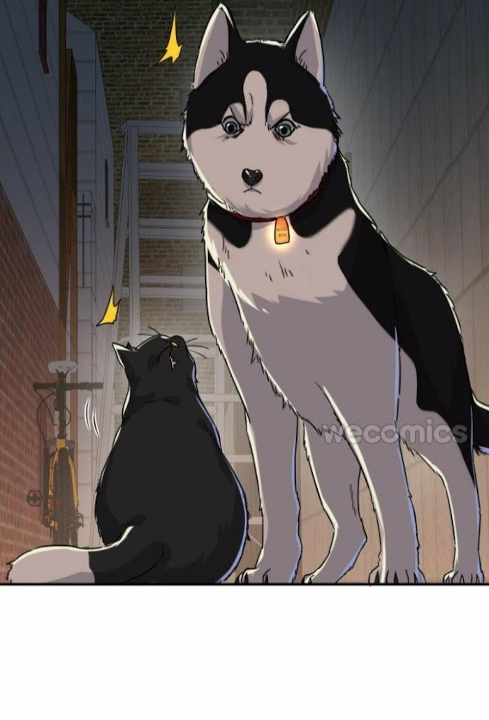 Read Pay Me Back, Mr. Cat chapter 5 image 5 on Lezhin