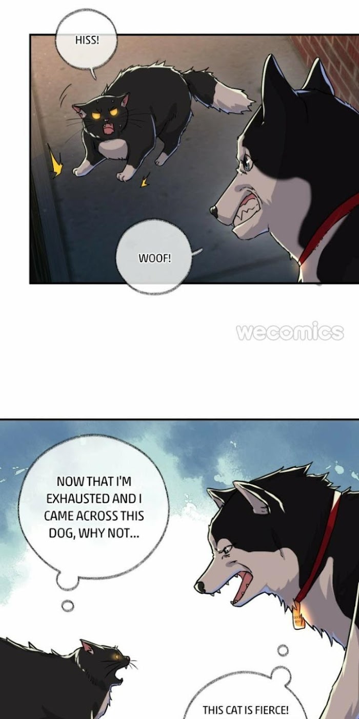 Read Pay Me Back, Mr. Cat chapter 5 image 6 on Lezhin