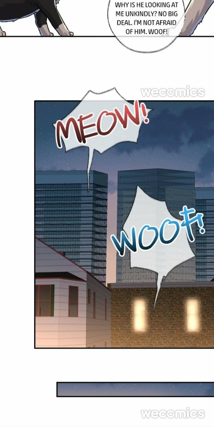Read Pay Me Back, Mr. Cat chapter 5 image 7 on Lezhin