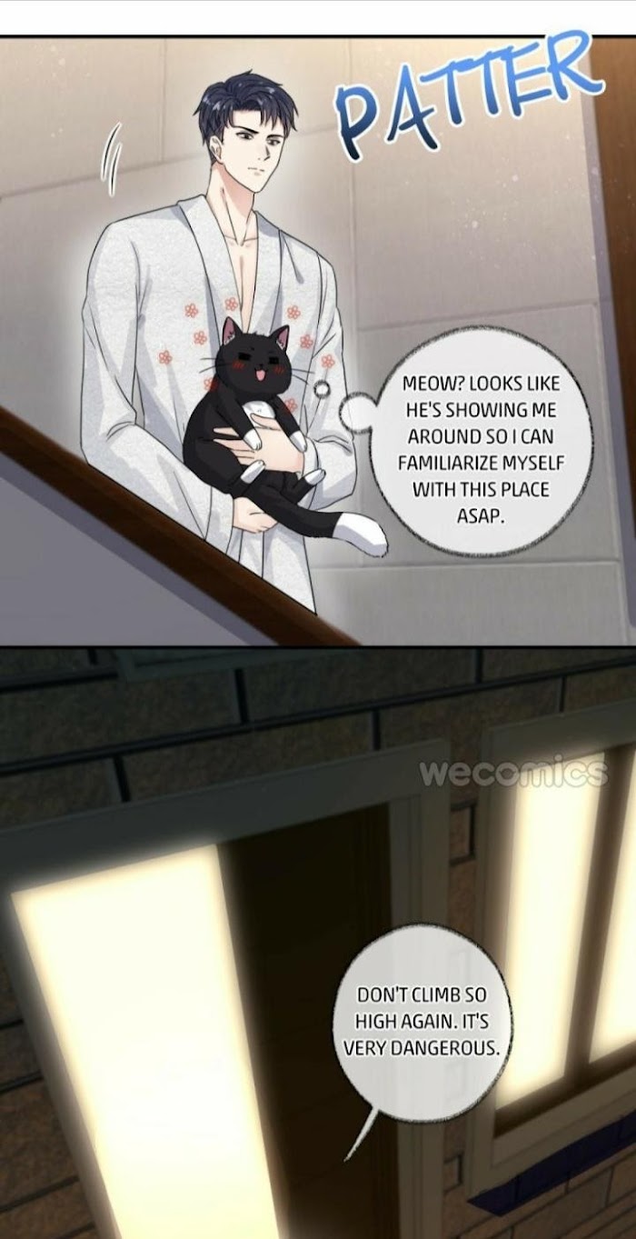Read Pay Me Back, Mr. Cat chapter 6 image 10 on Lezhin