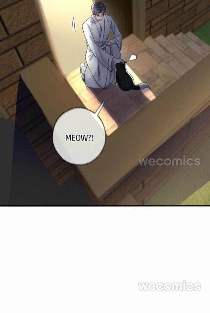 Read Pay Me Back, Mr. Cat chapter 6 image 11 on Lezhin