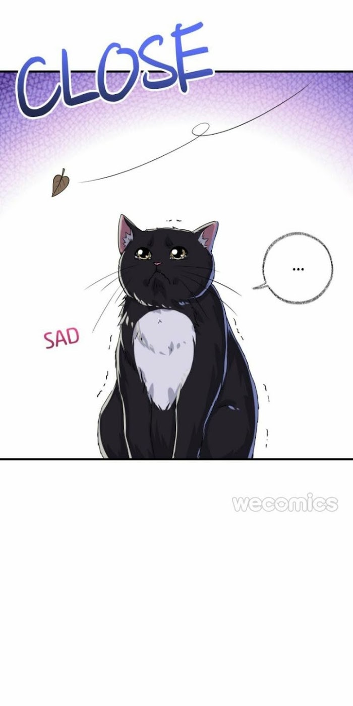 Read Pay Me Back, Mr. Cat chapter 6 image 12 on Lezhin