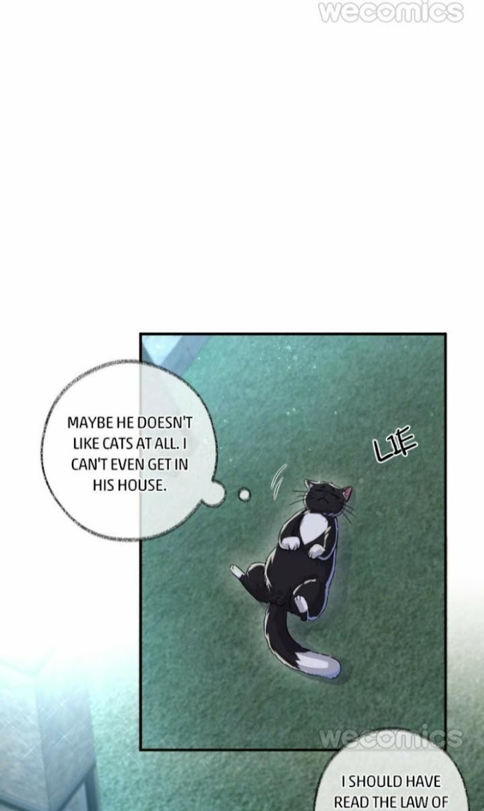 Read Pay Me Back, Mr. Cat chapter 6 image 13 on Lezhin