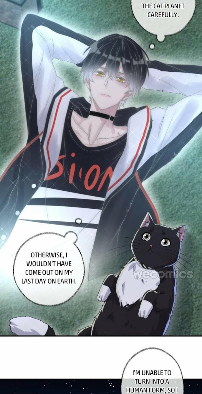 Read Pay Me Back, Mr. Cat chapter 6 image 14 on Lezhin