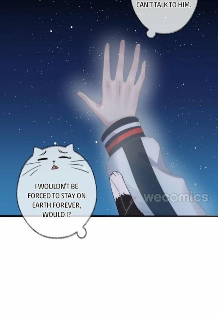 Read Pay Me Back, Mr. Cat chapter 6 image 15 on Lezhin