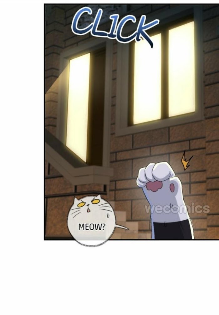Read Pay Me Back, Mr. Cat chapter 6 image 16 on Lezhin