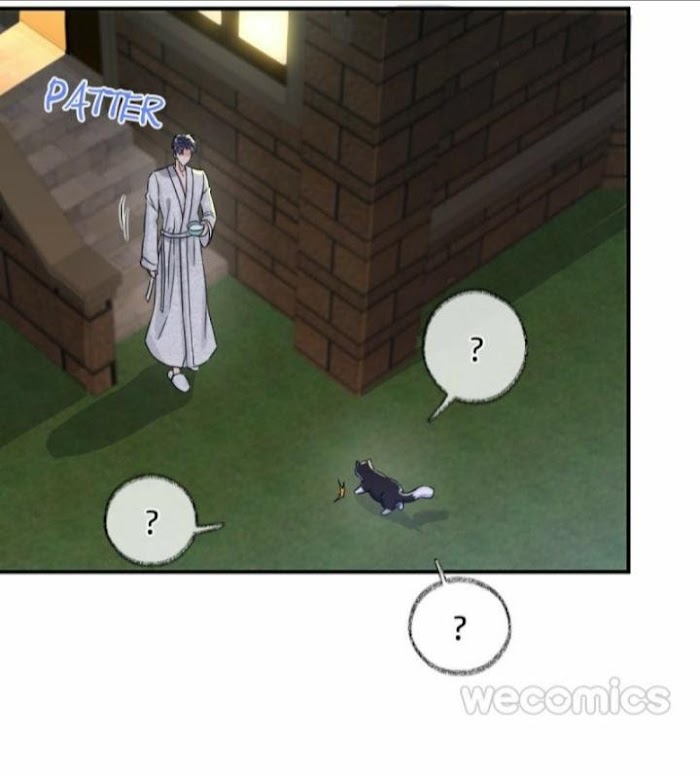 Read Pay Me Back, Mr. Cat chapter 6 image 17 on Lezhin