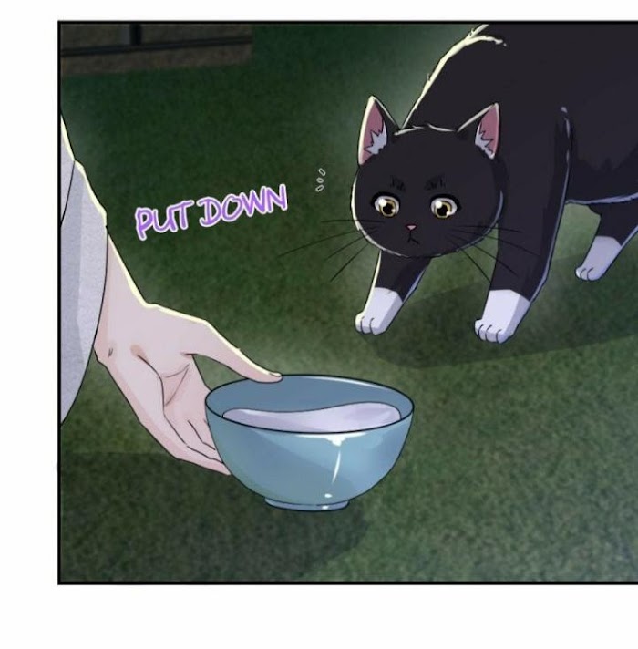 Read Pay Me Back, Mr. Cat chapter 6 image 18 on Lezhin
