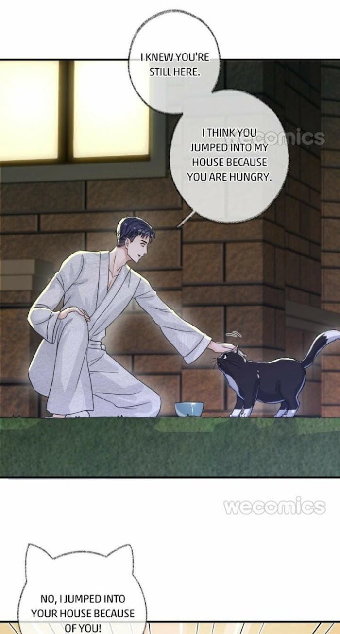 Read Pay Me Back, Mr. Cat chapter 6 image 19 on Lezhin
