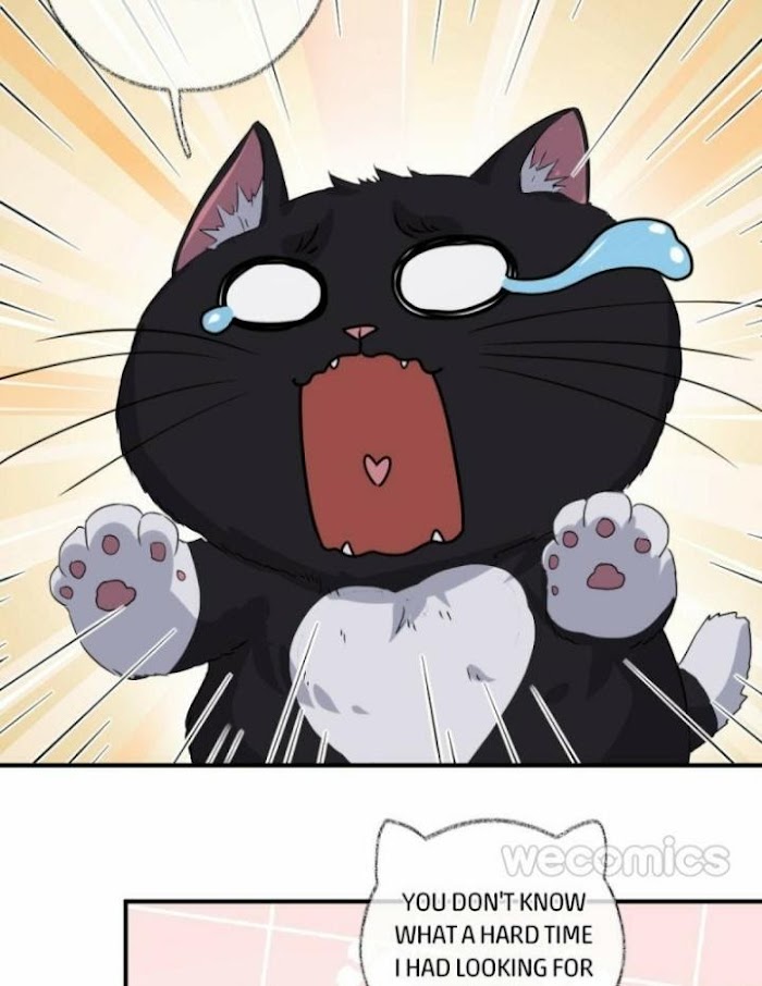 Read Pay Me Back, Mr. Cat chapter 6 image 20 on Lezhin