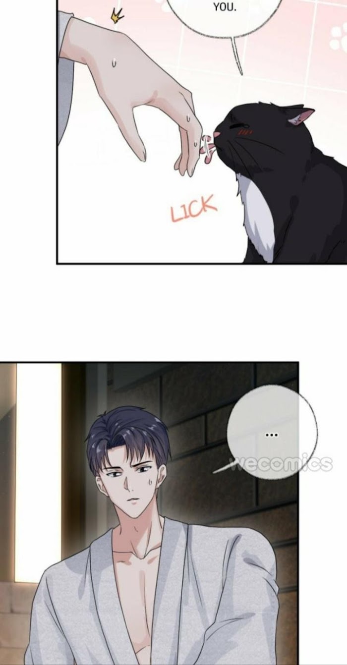 Read Pay Me Back, Mr. Cat chapter 6 image 21 on Lezhin