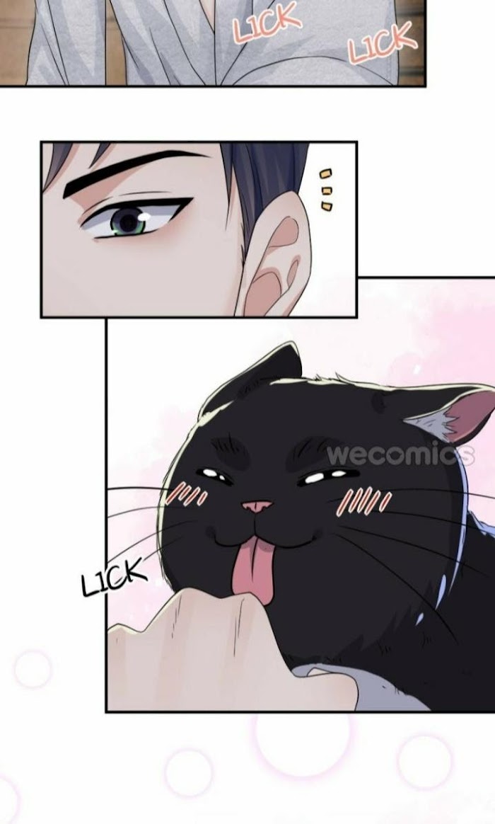 Read Pay Me Back, Mr. Cat chapter 6 image 22 on Lezhin