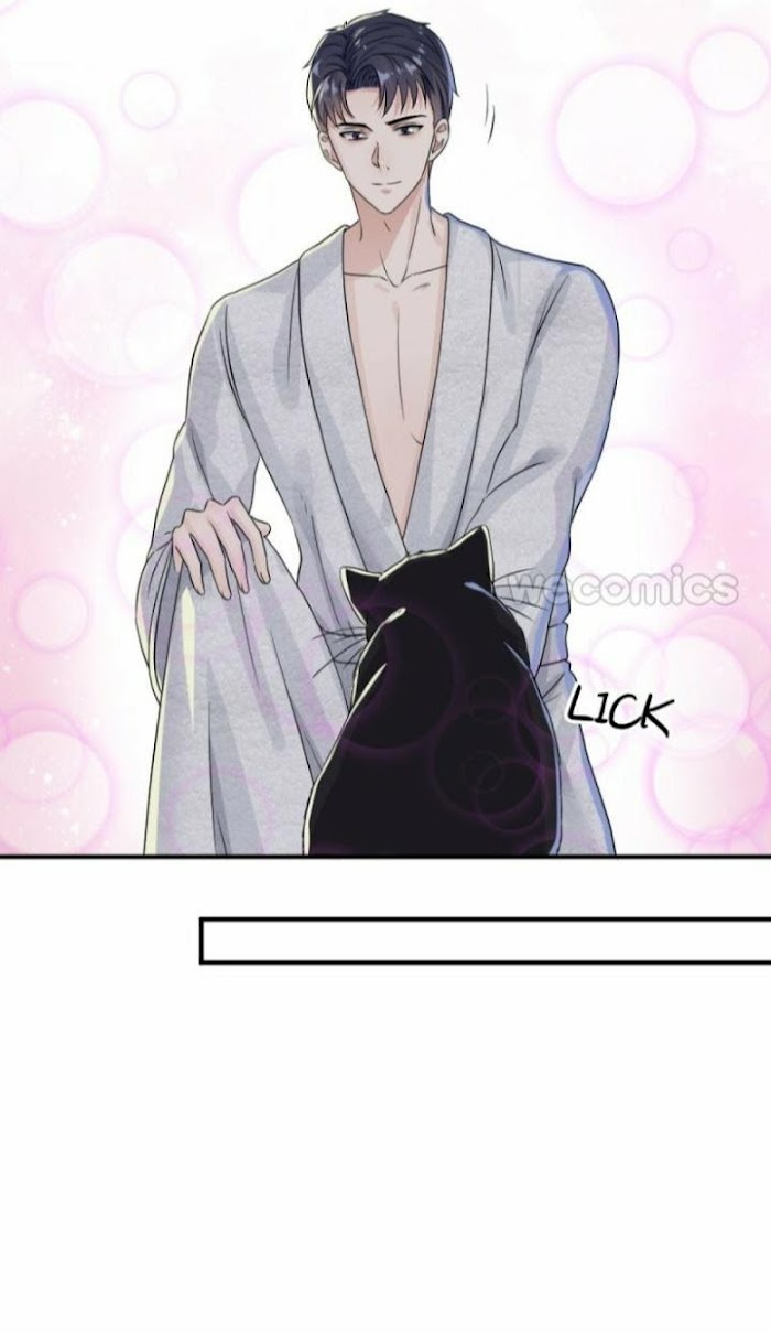 Read Pay Me Back, Mr. Cat chapter 6 image 23 on Lezhin