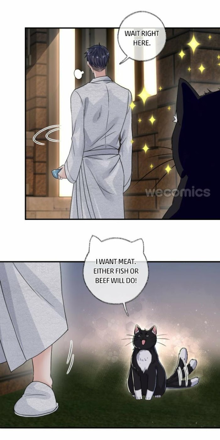 Read Pay Me Back, Mr. Cat chapter 6 image 26 on Lezhin