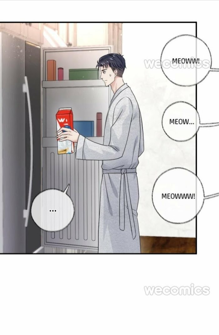 Read Pay Me Back, Mr. Cat chapter 6 image 27 on Lezhin