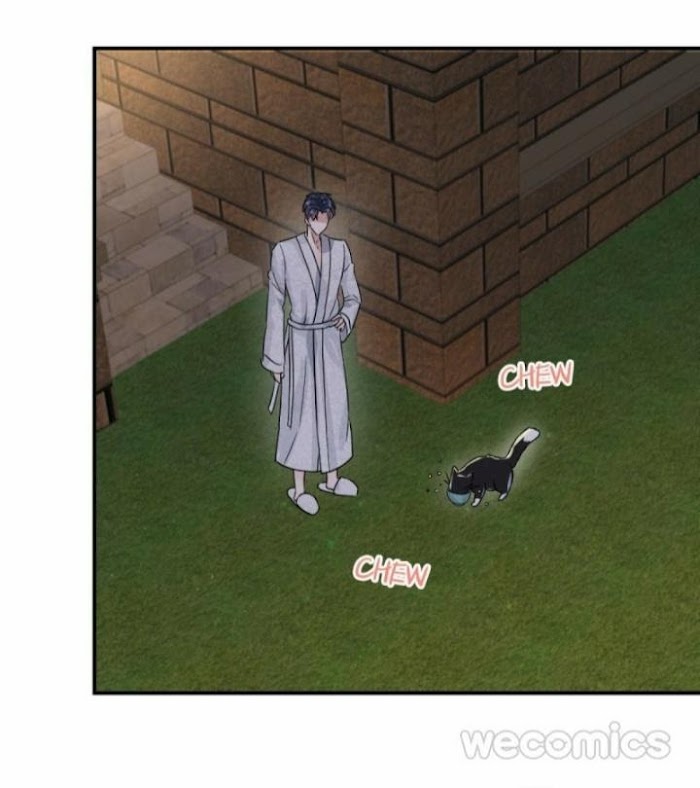Read Pay Me Back, Mr. Cat chapter 6 image 30 on Lezhin