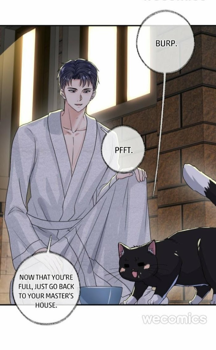 Read Pay Me Back, Mr. Cat chapter 6 image 31 on Lezhin