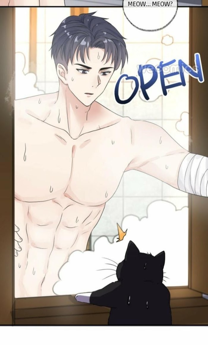 Read Pay Me Back, Mr. Cat chapter 6 image 4 on Lezhin