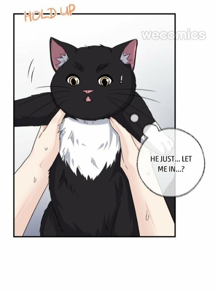 Read Pay Me Back, Mr. Cat chapter 6 image 5 on Lezhin