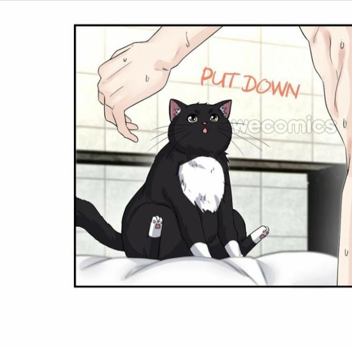 Read Pay Me Back, Mr. Cat chapter 6 image 6 on Lezhin