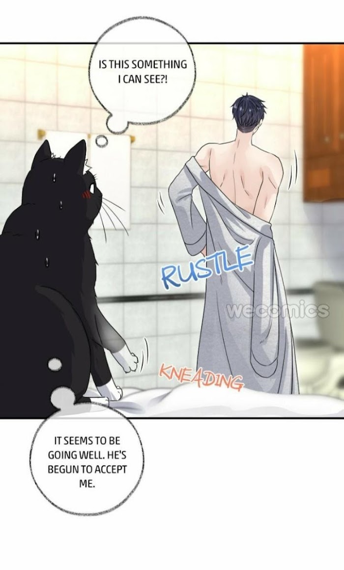 Read Pay Me Back, Mr. Cat chapter 6 image 7 on Lezhin