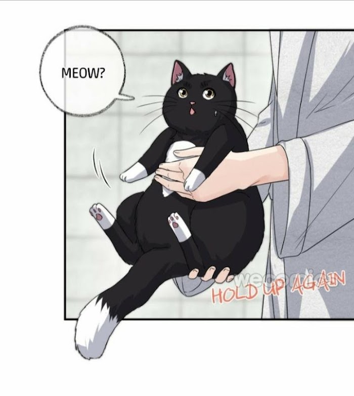 Read Pay Me Back, Mr. Cat chapter 6 image 8 on Lezhin