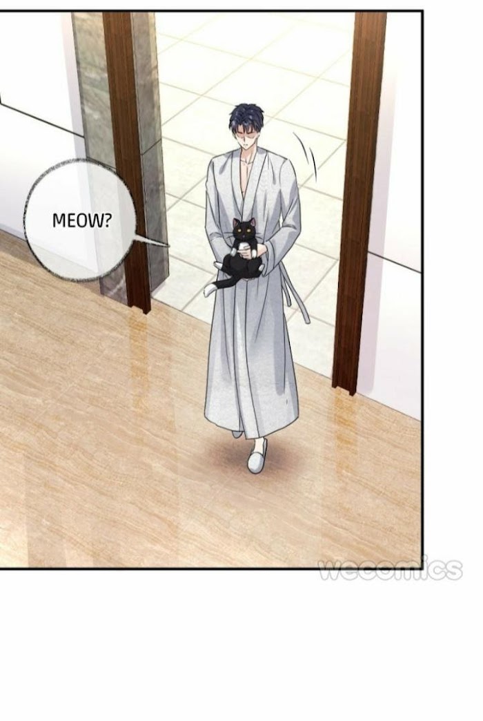Read Pay Me Back, Mr. Cat chapter 6 image 9 on Lezhin