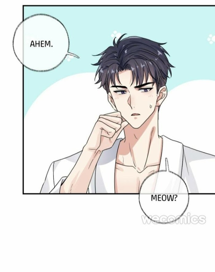 Read Pay Me Back, Mr. Cat chapter 7 image 10 on Lezhin