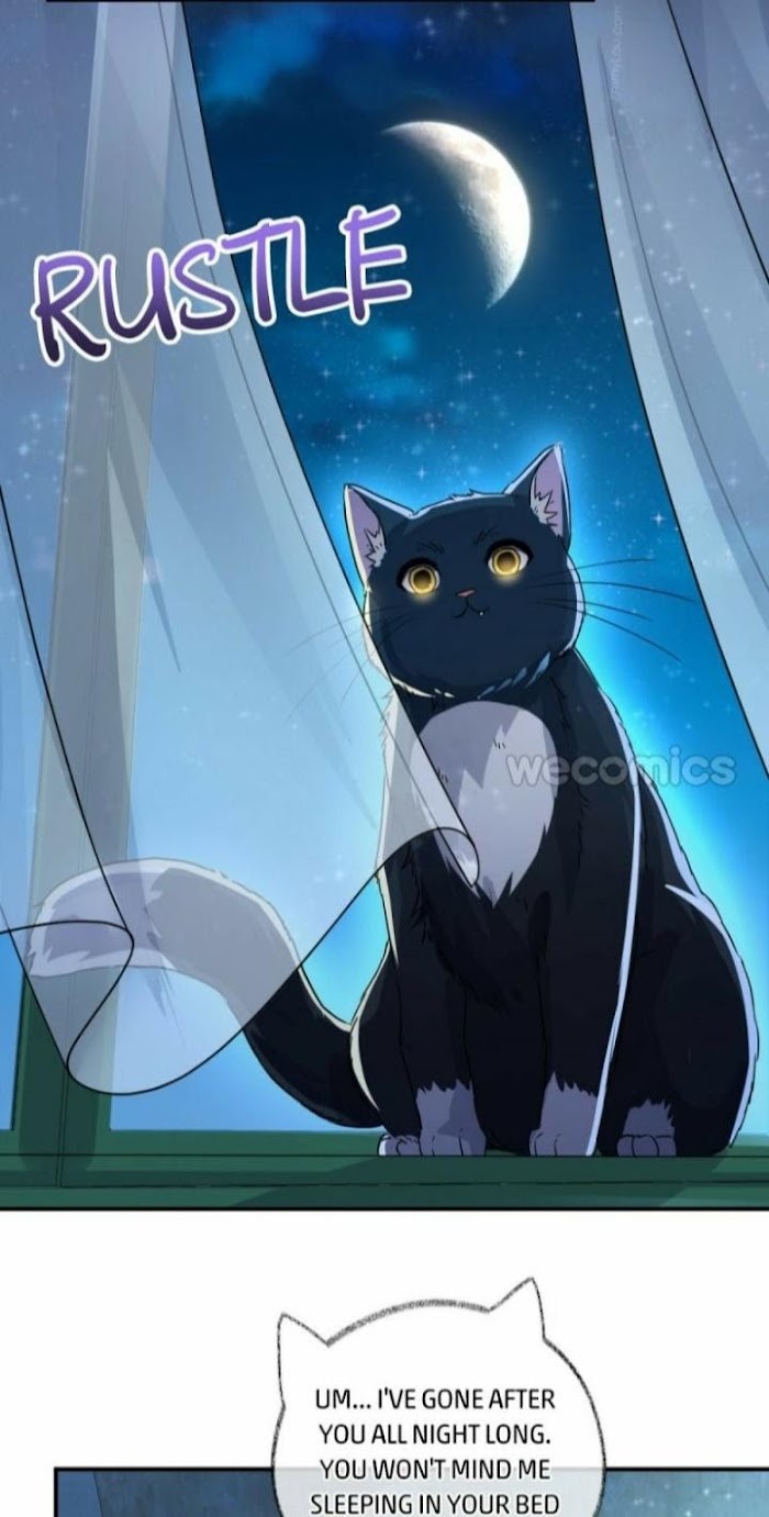 Read Pay Me Back, Mr. Cat chapter 7 image 13 on Lezhin