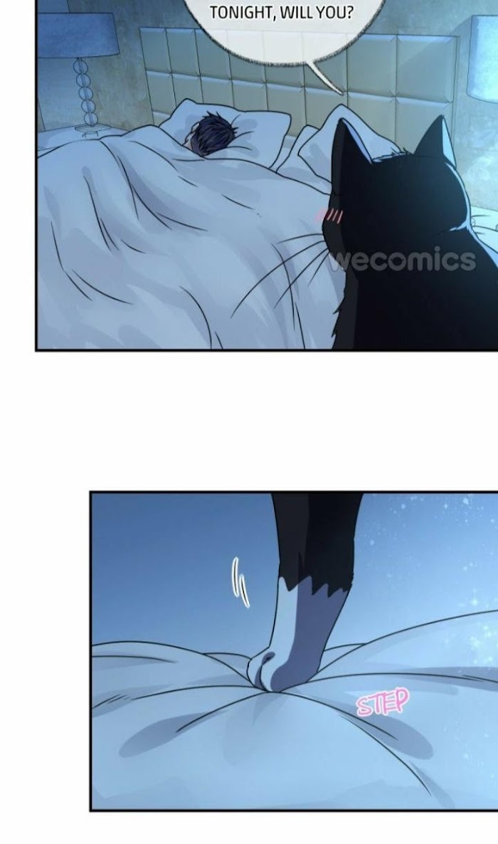 Read Pay Me Back, Mr. Cat chapter 7 image 14 on Lezhin