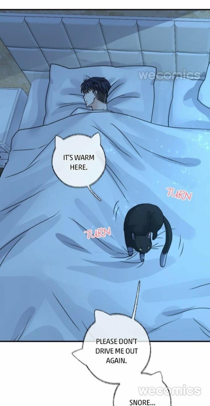 Read Pay Me Back, Mr. Cat chapter 7 image 15 on Lezhin