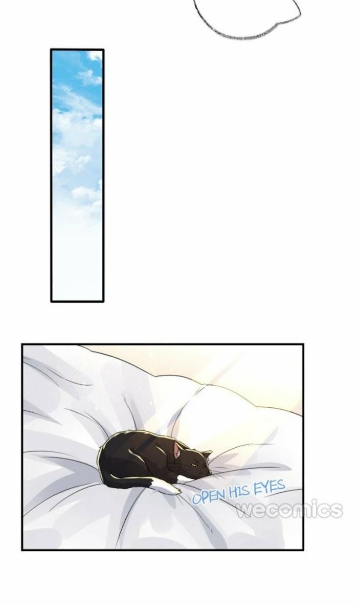 Read Pay Me Back, Mr. Cat chapter 7 image 16 on Lezhin