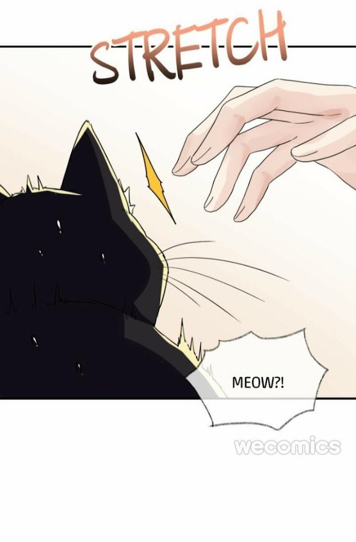 Read Pay Me Back, Mr. Cat chapter 7 image 17 on Lezhin