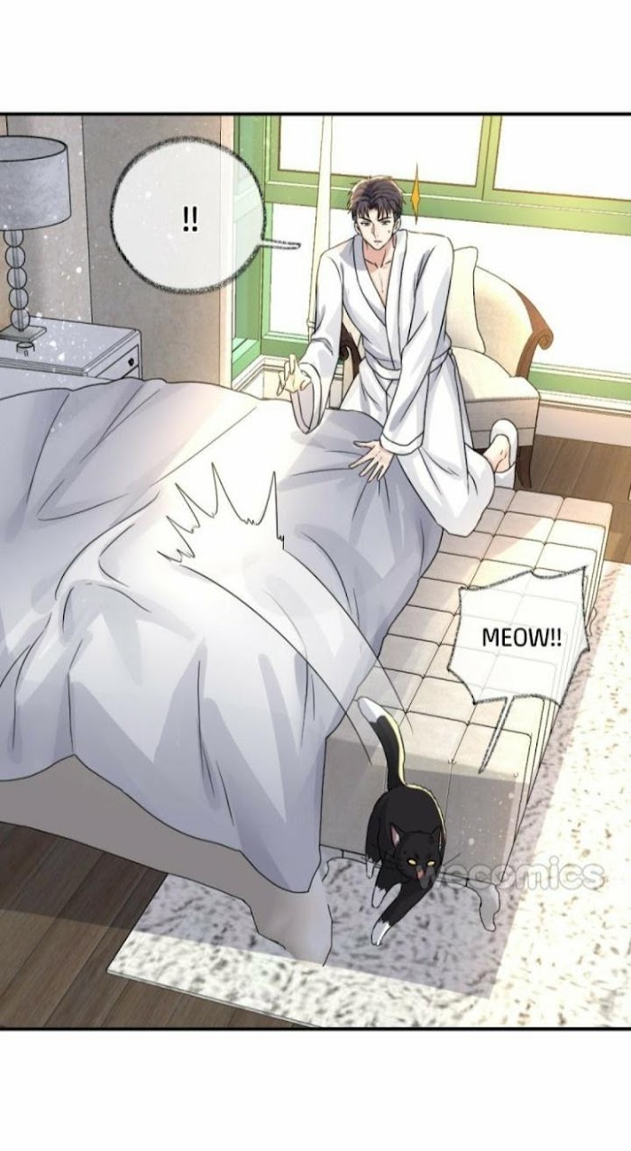 Read Pay Me Back, Mr. Cat chapter 7 image 18 on Lezhin